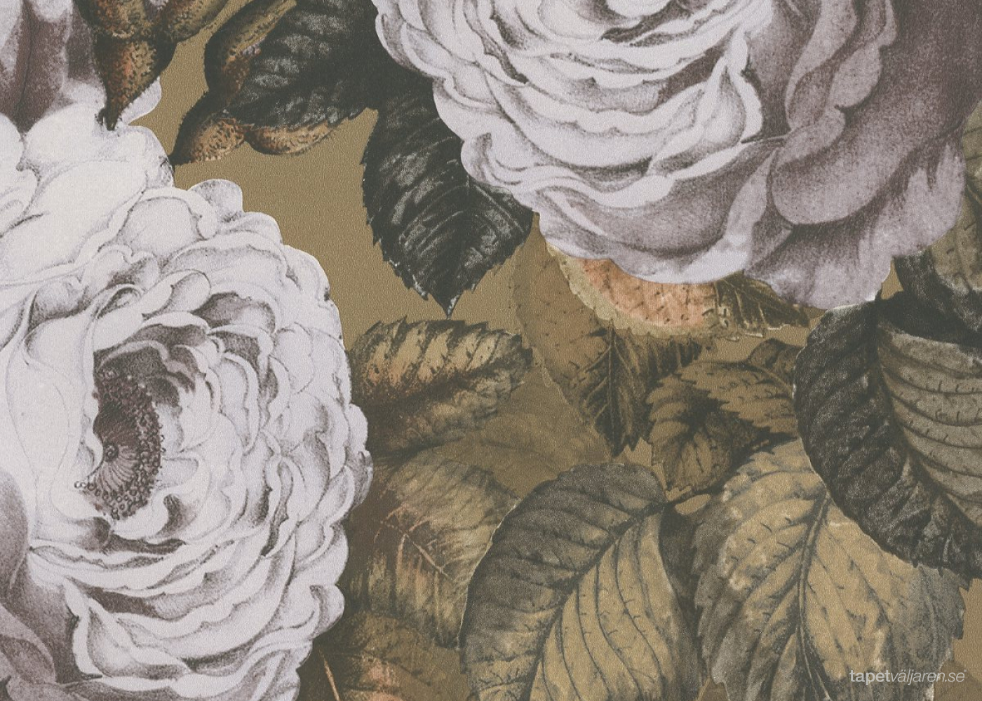 John Derian Designers Guild Picture Book Wallpapers The Rose
